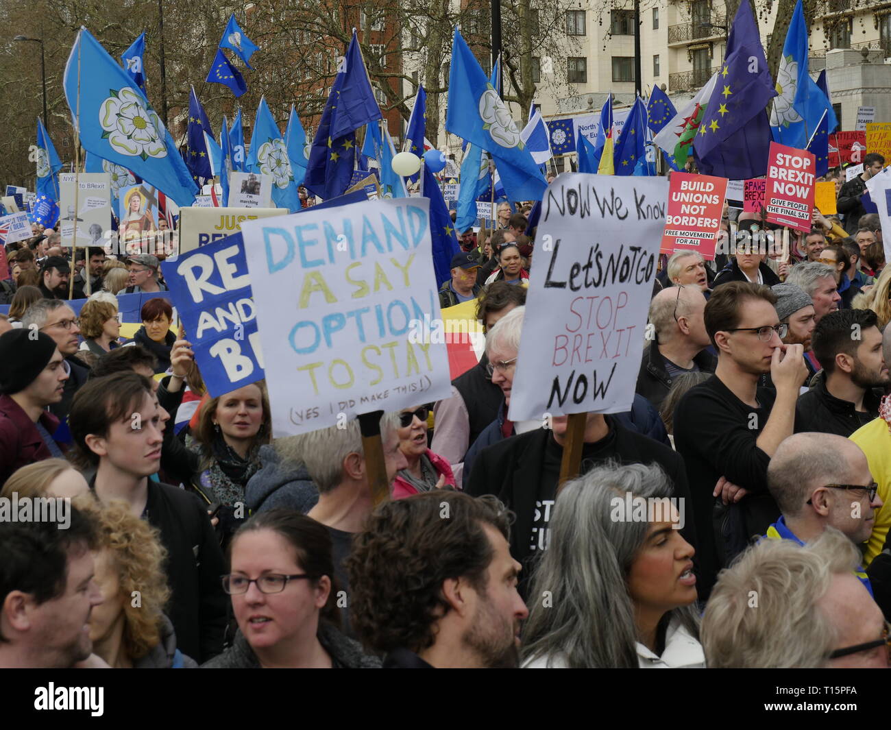 Londra, Inghilterra. 23 marzo, 2019. Migliaia di persone da marzo a Westminster per chiedere un secondo referendum sulla necessità o meno che la Gran Bretagna dovrebbe lasciare l'UE. Credito: Anna Stowe/Alamy Live News Foto Stock