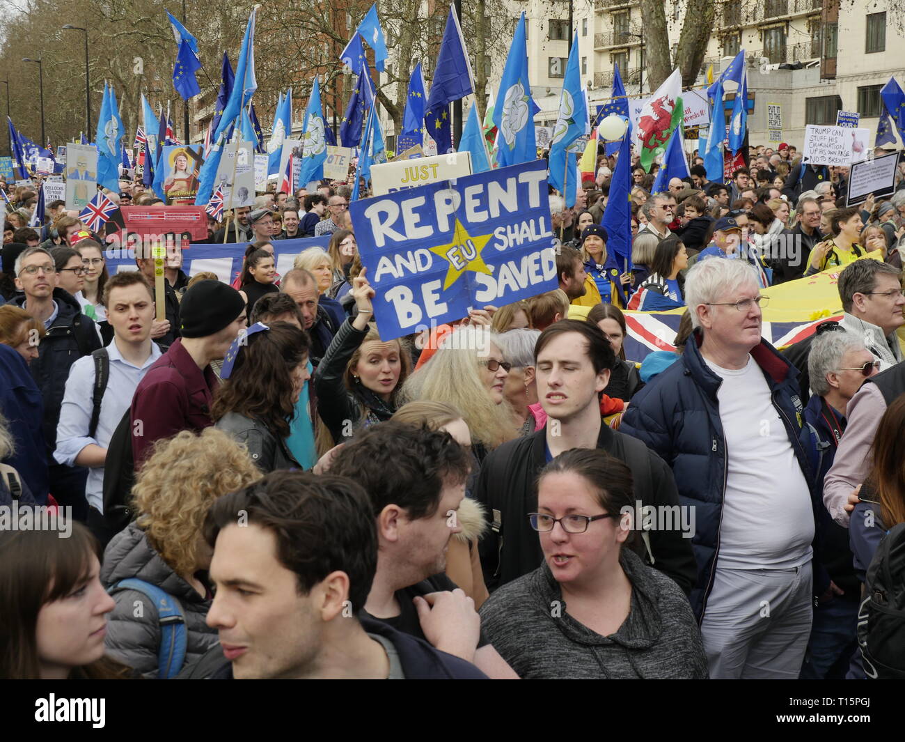 Londra, Inghilterra. 23 marzo, 2019. Migliaia di persone da marzo a Westminster per chiedere un secondo referendum sulla necessità o meno che la Gran Bretagna dovrebbe lasciare l'UE. Credito: Anna Stowe/Alamy Live News Foto Stock