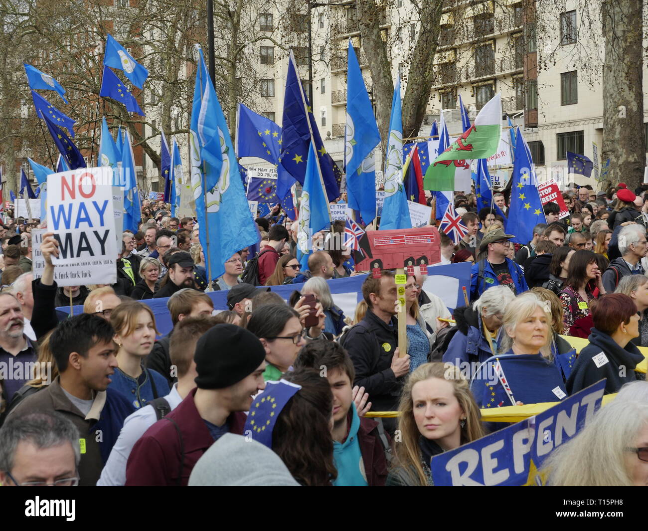 Londra, Inghilterra. 23 marzo, 2019. Migliaia di persone da marzo a Westminster per chiedere un secondo referendum sulla necessità o meno che la Gran Bretagna dovrebbe lasciare l'UE. Credito: Anna Stowe/Alamy Live News Foto Stock