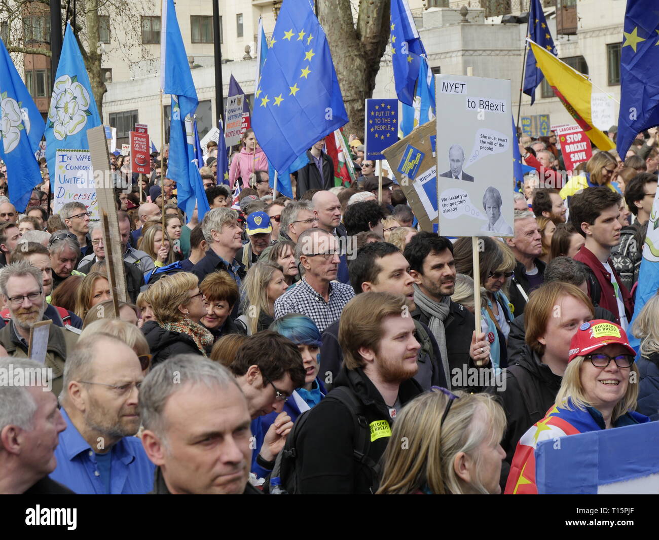 Londra, Inghilterra. 23 marzo, 2019. Migliaia di persone da marzo a Westminster per chiedere un secondo referendum sulla necessità o meno che la Gran Bretagna dovrebbe lasciare l'UE. Credito: Anna Stowe/Alamy Live News Foto Stock
