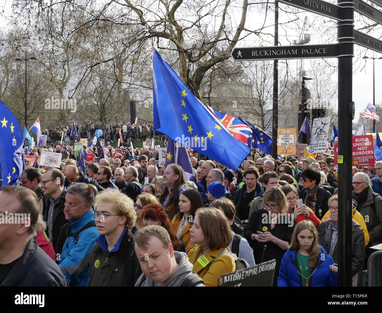 Londra, Inghilterra. 23 marzo, 2019. Migliaia di persone da marzo a Westminster per chiedere un secondo referendum sulla necessità o meno che la Gran Bretagna dovrebbe lasciare l'UE. Credito: Anna Stowe/Alamy Live News Foto Stock