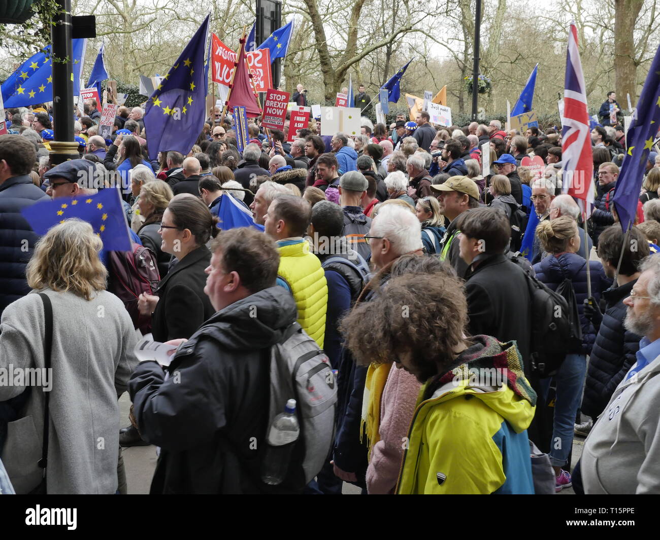 Londra, Inghilterra. 23 marzo, 2019. Migliaia di persone da marzo a Westminster per chiedere un secondo referendum sulla necessità o meno che la Gran Bretagna dovrebbe lasciare l'UE. Credito: Anna Stowe/Alamy Live News Foto Stock