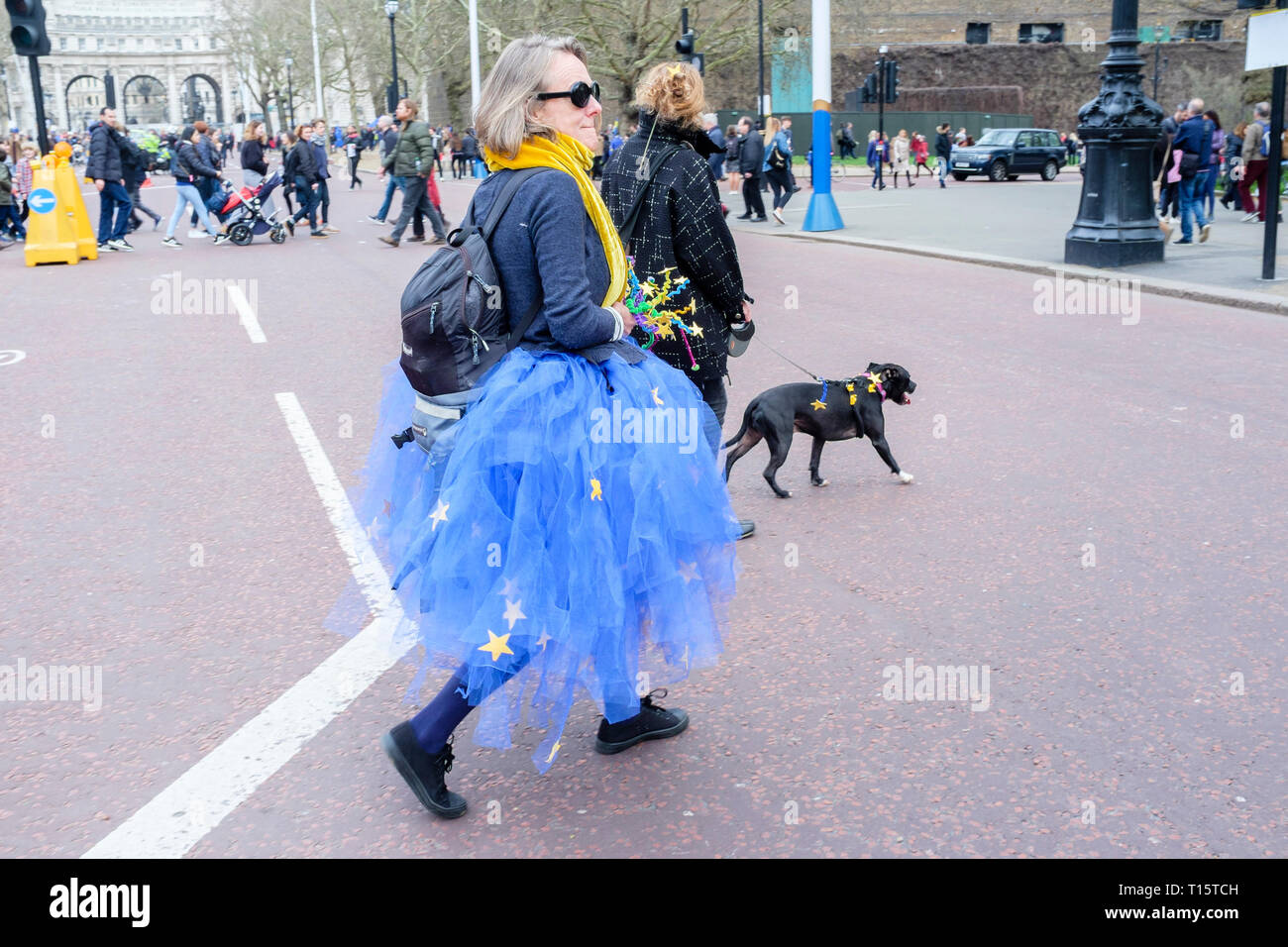 Londra, Regno Unito. Il 23 marzo 2019. Centinaia di migliaia di persone in corteo attraverso il centro di Londra chiedono una seconda votazione sul Regno Unito l'adesione all'Unione europea. Credito: mark phillips/Alamy Live News Foto Stock