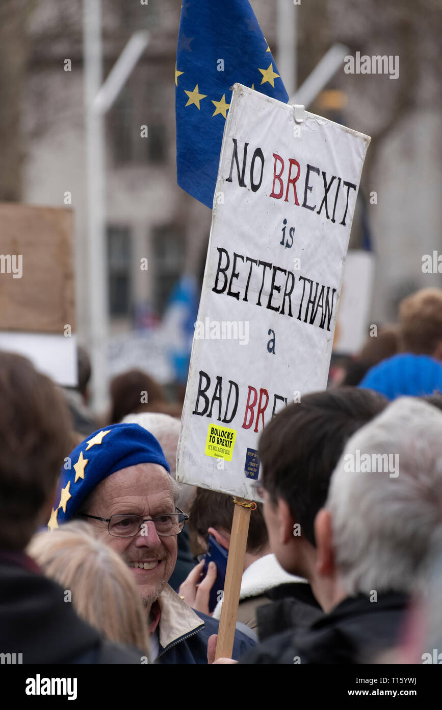 Londra, Regno Unito. 23 Mar, 2019. I popoli votazione marzo non Brexit Banner. Dettaglio della folla e banner come presi dalla prospettiva di un manifestante. Rimanere banner, secondo referendum. Credito: Tony Pincham/Alamy Live News Foto Stock