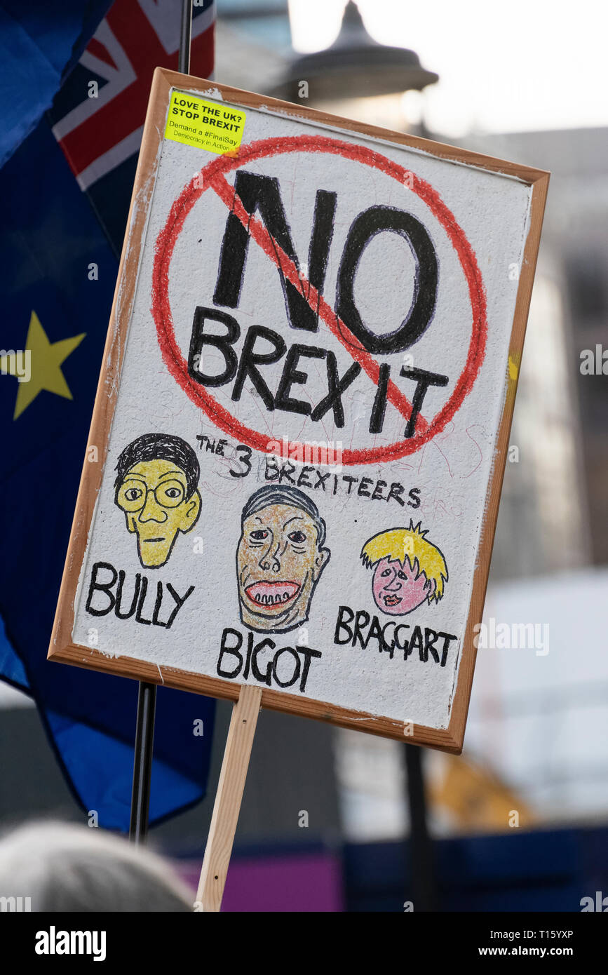 Londra, Regno Unito. 23 Mar, 2019. I popoli votazione marzo non Brexit banner. Dal punto di vista di un manifestante. Rimanere banner, secondo referendum. Credito: Tony Pincham/Alamy Live News Foto Stock