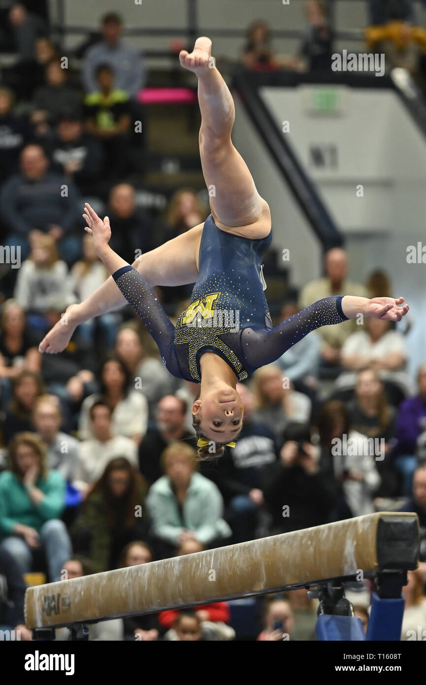 University Park, Pennsylvania, USA. 23 Mar, 2019. NATALIE WÓJCIK presso la University of Michigan compete il giogo della bilancia a Rec Hall nel Parco di Università, Pennsylvania. Credito: Amy Sanderson/ZUMA filo/Alamy Live News Foto Stock