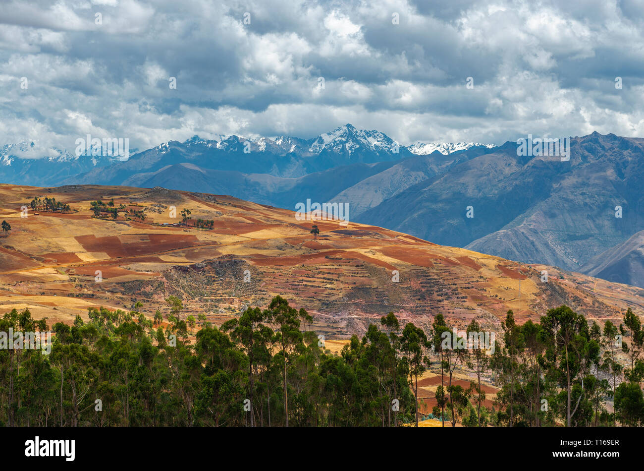 Agricoltura paesaggio con campi terrazzati nei villaggi rurali della Valle Sacra degli Inca, regione di Cusco, Perù. Foto Stock
