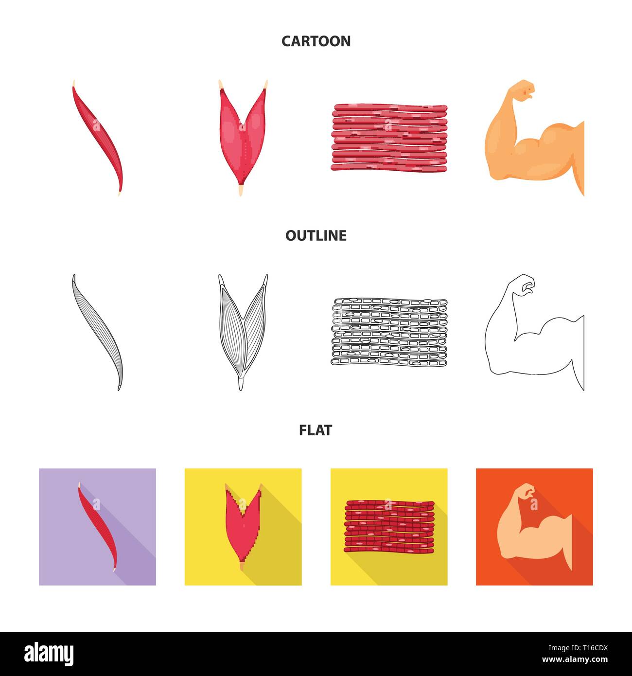 Oggetto isolato di fibre muscolari e logo. Raccolta della fibra e del corpo simbolo azionario per il web. Illustrazione Vettoriale