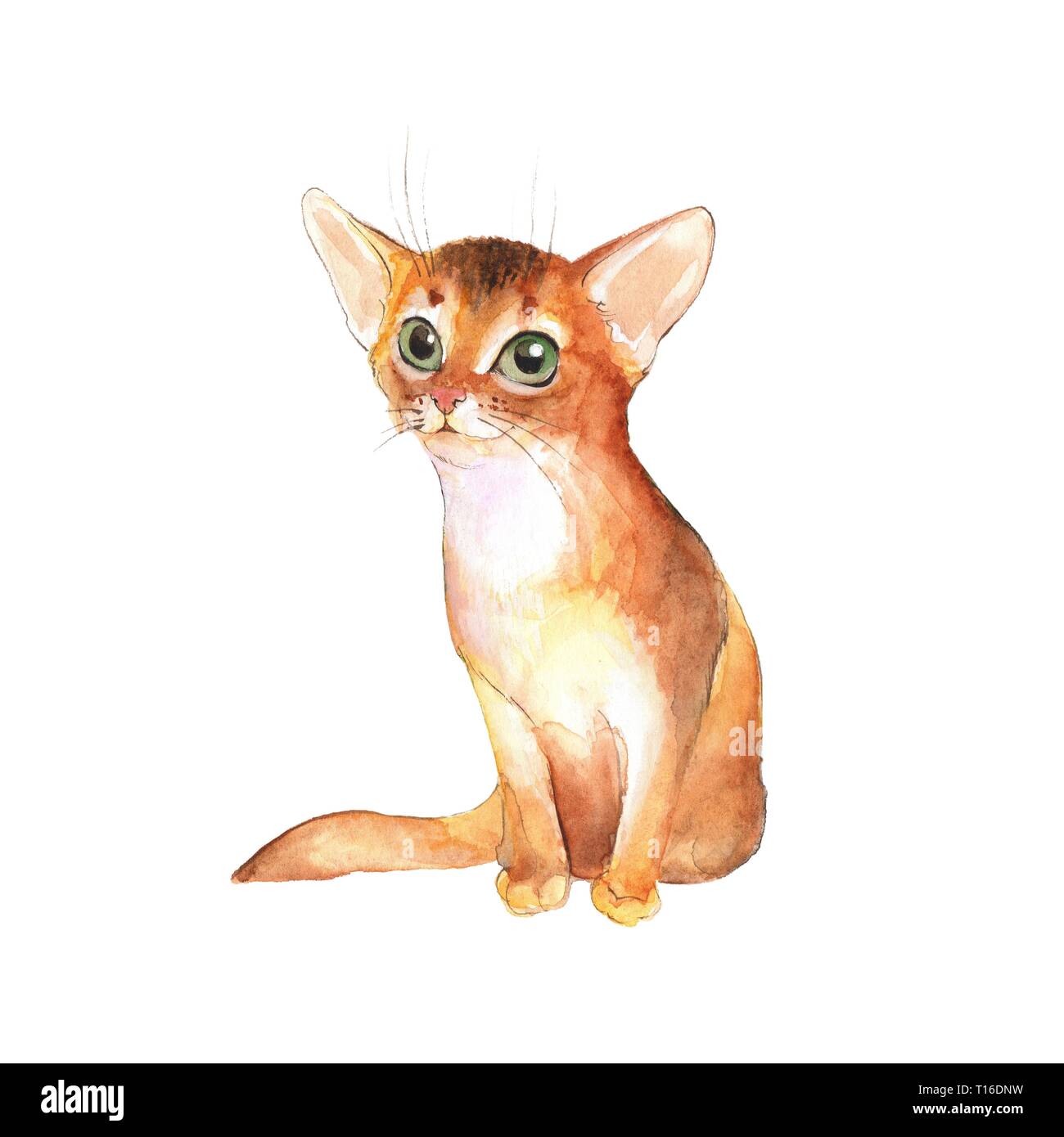 Carino gattino, isolato su bianco. Acquerello cat Foto Stock