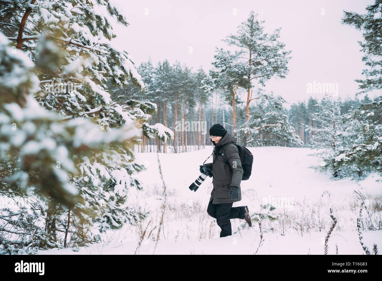 Giovane uomo Backpacker con fotocamera foto tenendo la foto in inverno boschi innevati. Active Hobby. Gli escursionisti a piedi nella neve Pineta Foto Stock