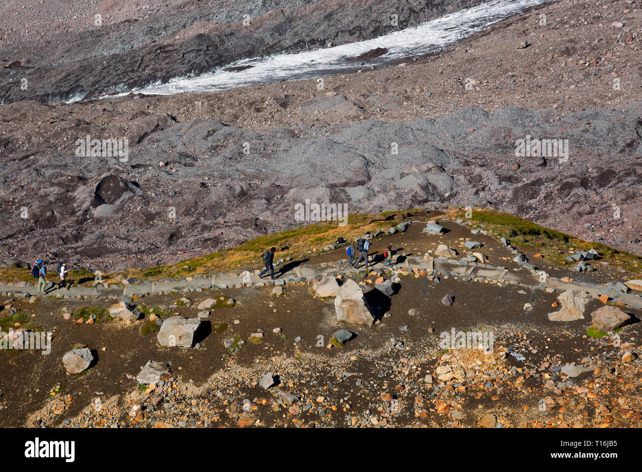 WA16003-00...WASHINGTON - escursionisti sul sentiero Skyline al di sopra del pesantemente coperto di detriti Nisqually Glacier; Paradiso area del monte Rainier National Park Foto Stock