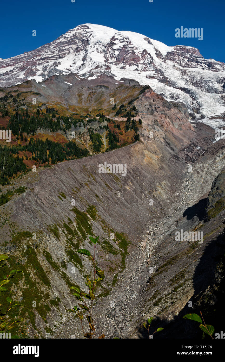 WA16005-00...WASHINGTON - Vista di detriti coperti capolinea della Nisqually Glacier da un punto di vista lungo la Nisqually Vista sentiero in Mt Rainier NP. Foto Stock