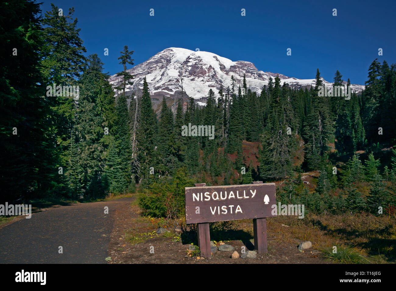WA16010-00...WASHINGTON - la partenza del popolare, pavimentato, Nisqually Vista Trail nel paradiso area del monte Rainier National Park. Foto Stock