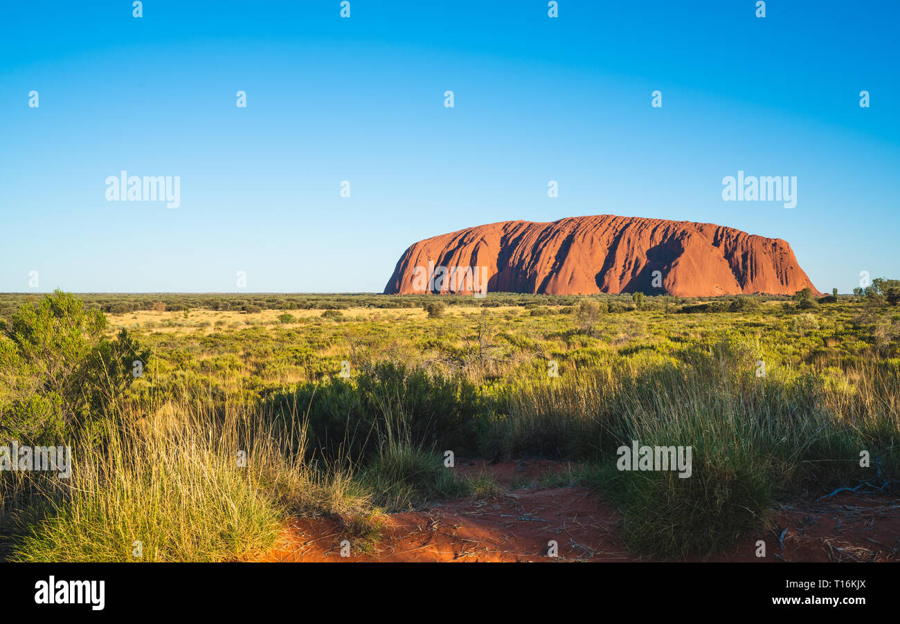 25 dicembre 2018, Sydney NSW Australia : vista panoramica di Uluru con cielo blu chiaro su soleggiate giornate estive in NT outback Australia Foto Stock