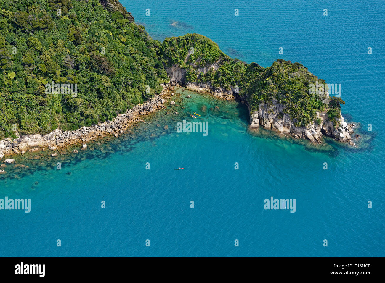 Blu Verde acque della Nuova Zelanda Abel Tasman Foto Stock