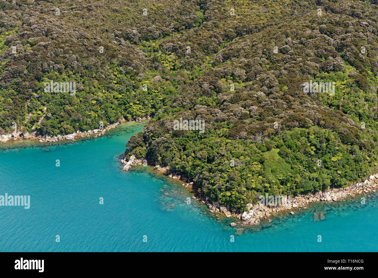 La Nuova Zelanda è rivestito di bush Abel Tasman, circondato dal bellissimo mare blu Foto Stock
