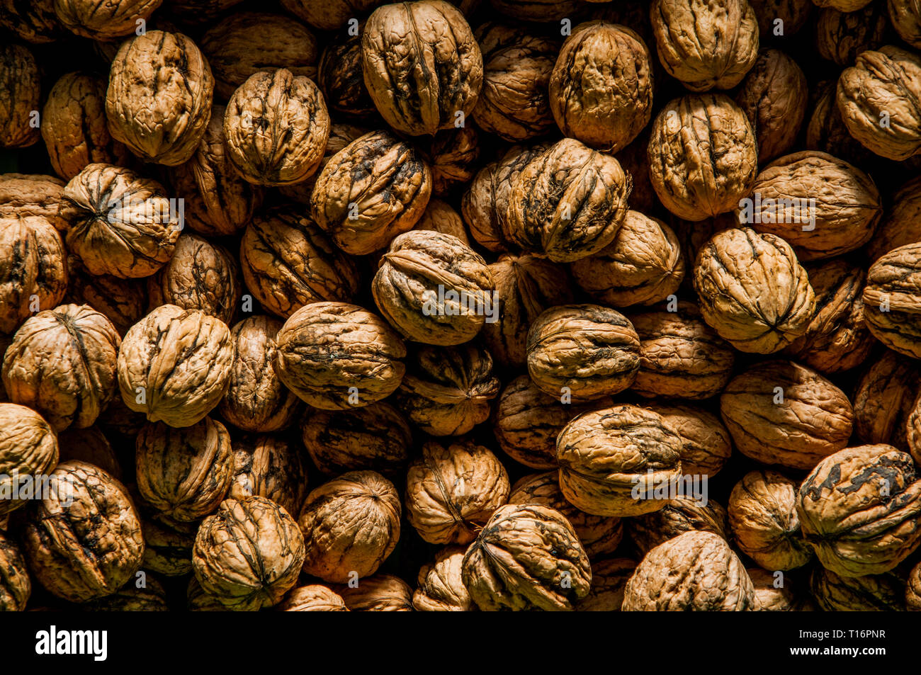 Noci comuni in guscio Foto Stock