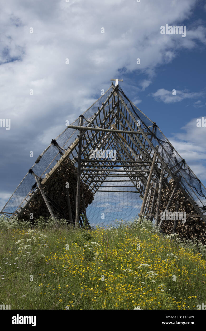 Dopo essiccamento stoccafisso. Solo i capi del cod reamain sul rack in legno in Gjesvaer sull isola Magerøya vicino a Capo Nord in Norvegia. Foto Stock