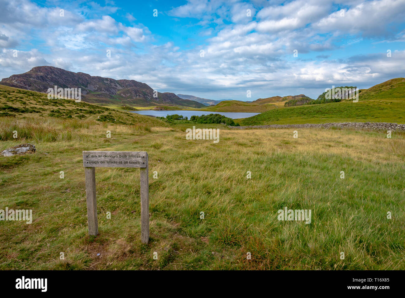Il percorso che conduce a uno dei laghi Cregennan, Wales, Regno Unito Foto Stock