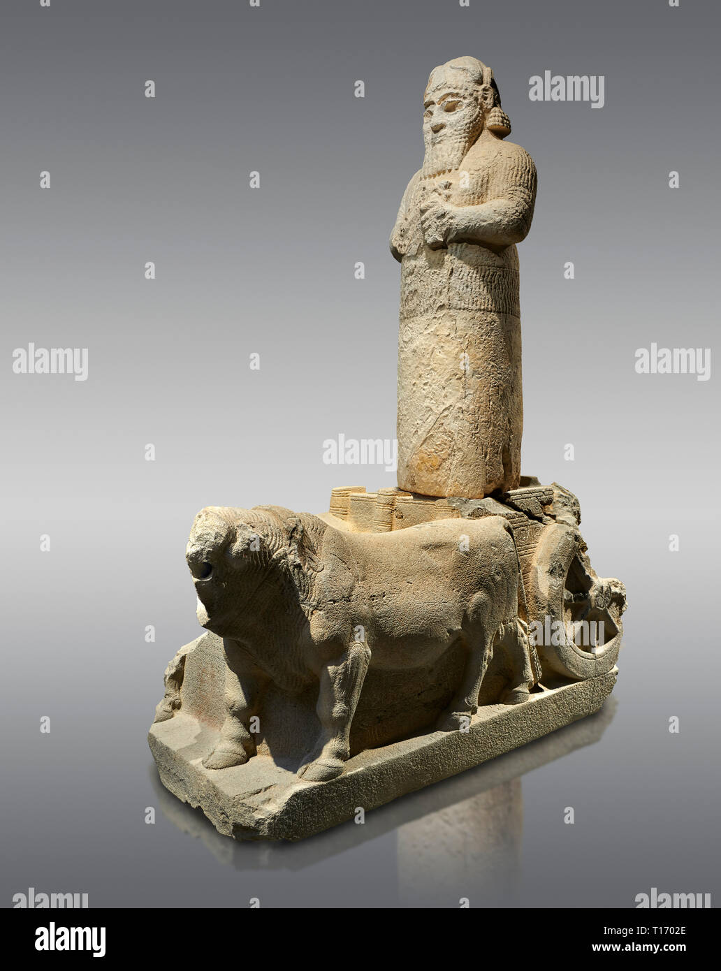Hittita monumentale statua di probabile Tarhunda, il dio delle tempeste, in piedi su un carro trainato da due tori. Adana il Museo di Archeologia, Turchia. Contro Foto Stock