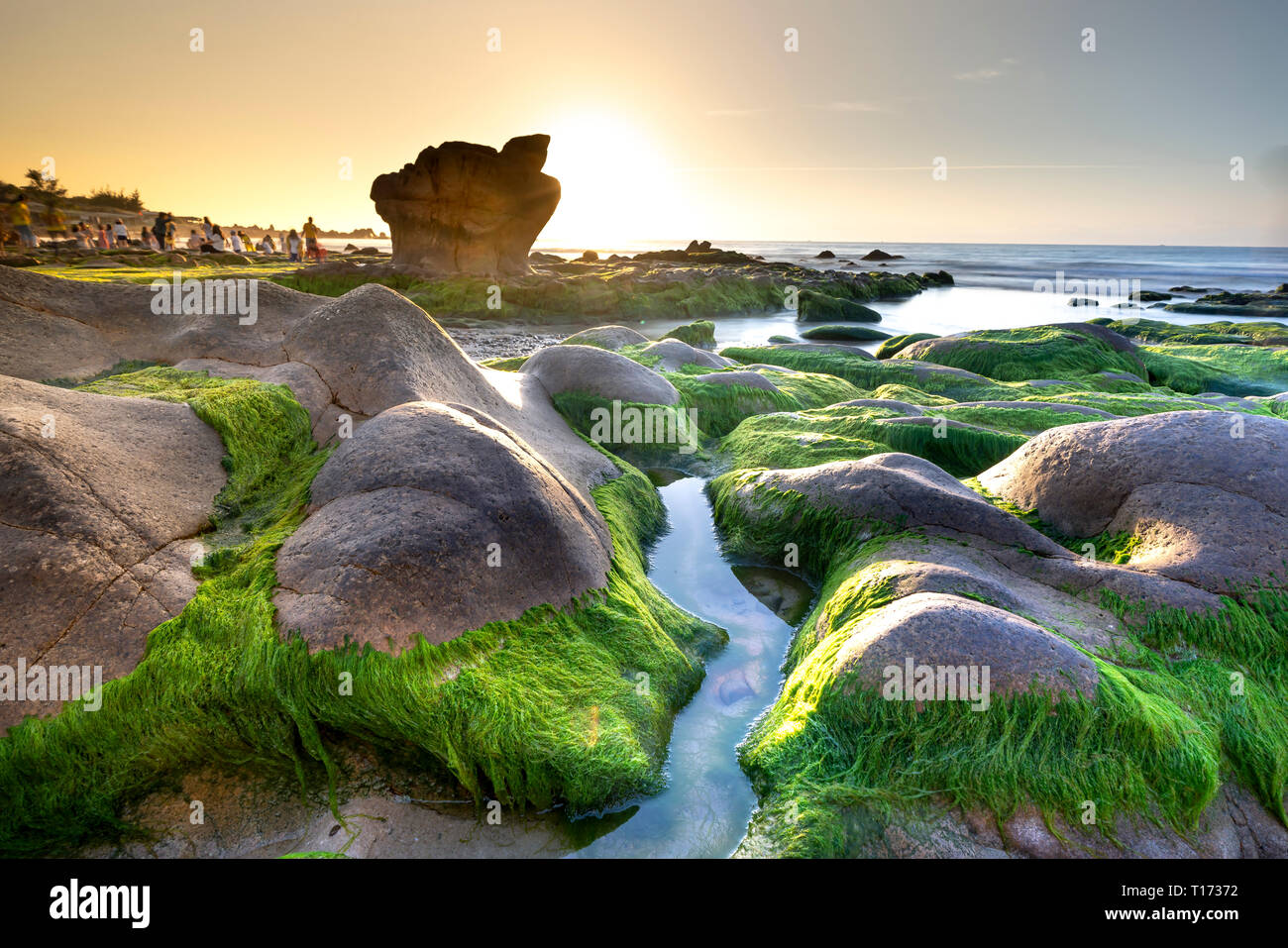 Strano rocce e moss in Co Thach beach. Il Viet Nam Foto Stock