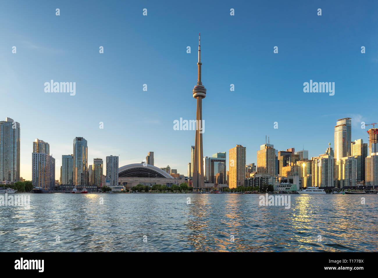 Toronto skyline della città di Toronto, Ontario, Canada. Foto Stock