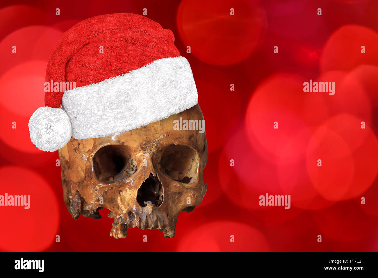 Cranio umano indossando xmas o cappello di Natale sul rosso sfondo bokeh di fondo. Essa può essere utilizzata per le operazioni di perforazione o di vacanza antica celebrazione o divertente bizzarro auguri concep Foto Stock