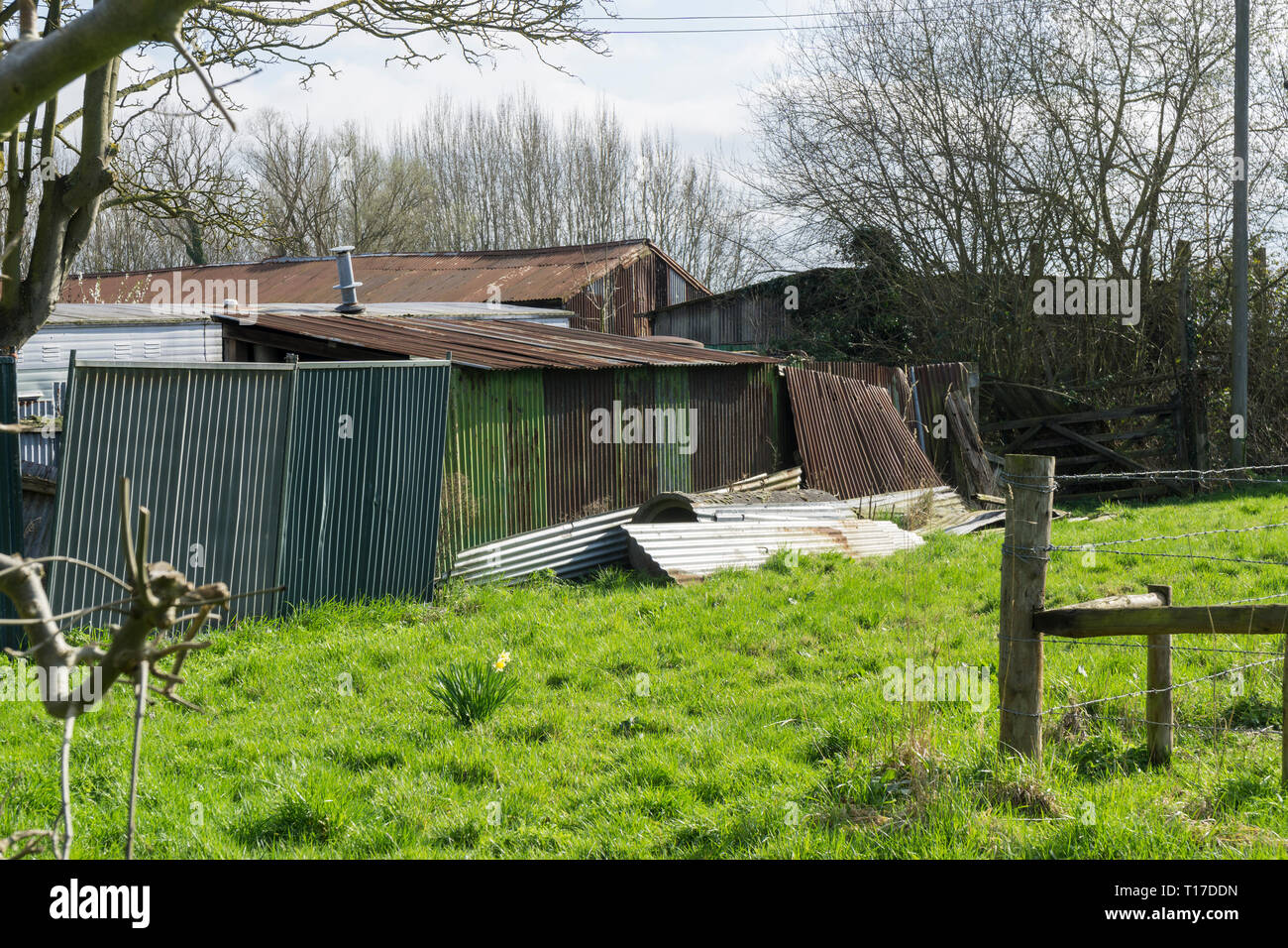 Ferro corrugato edifici agricoli Milton Cambridge 2019 Foto Stock