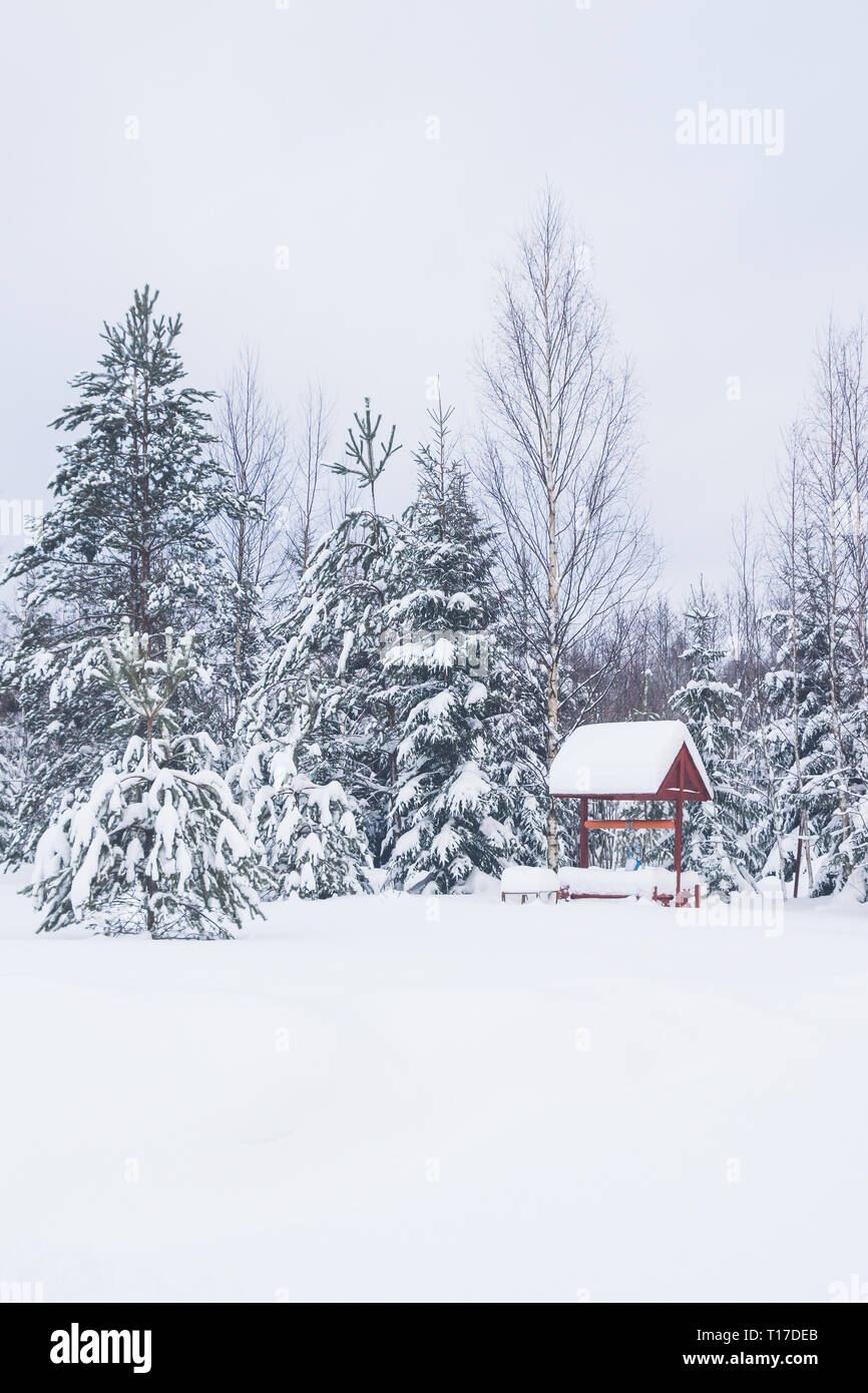 Anche in legno nella foresta sul territorio di una casa privata in inverno Foto Stock