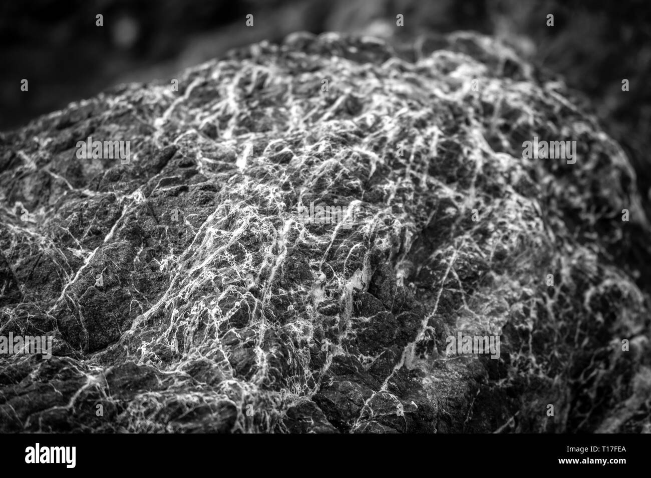 Un interessante pattern su una pietra in bianco e nero Foto Stock