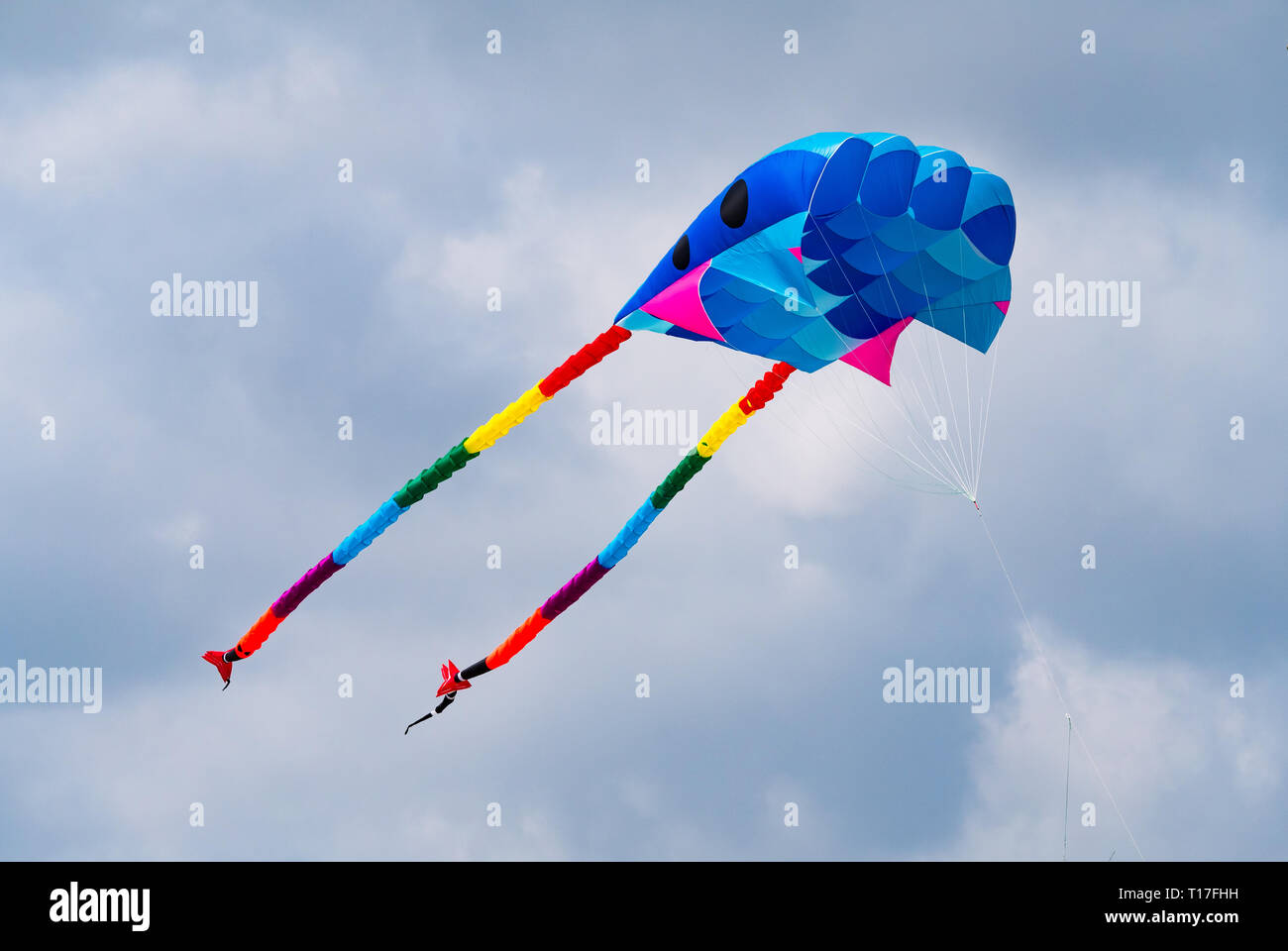 Morbido colorato aquilone vola con uno sfondo con cielo nuvoloso. Foto Stock