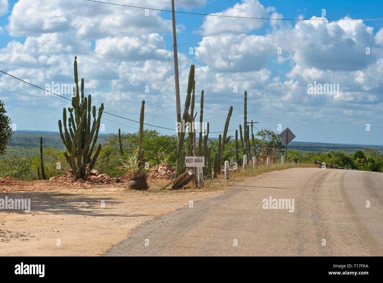 Classic vista panorama di una infinita strada diritta in esecuzione attraverso un grande elefante Cardon cactus paesaggio in Baja California, Messico Foto Stock