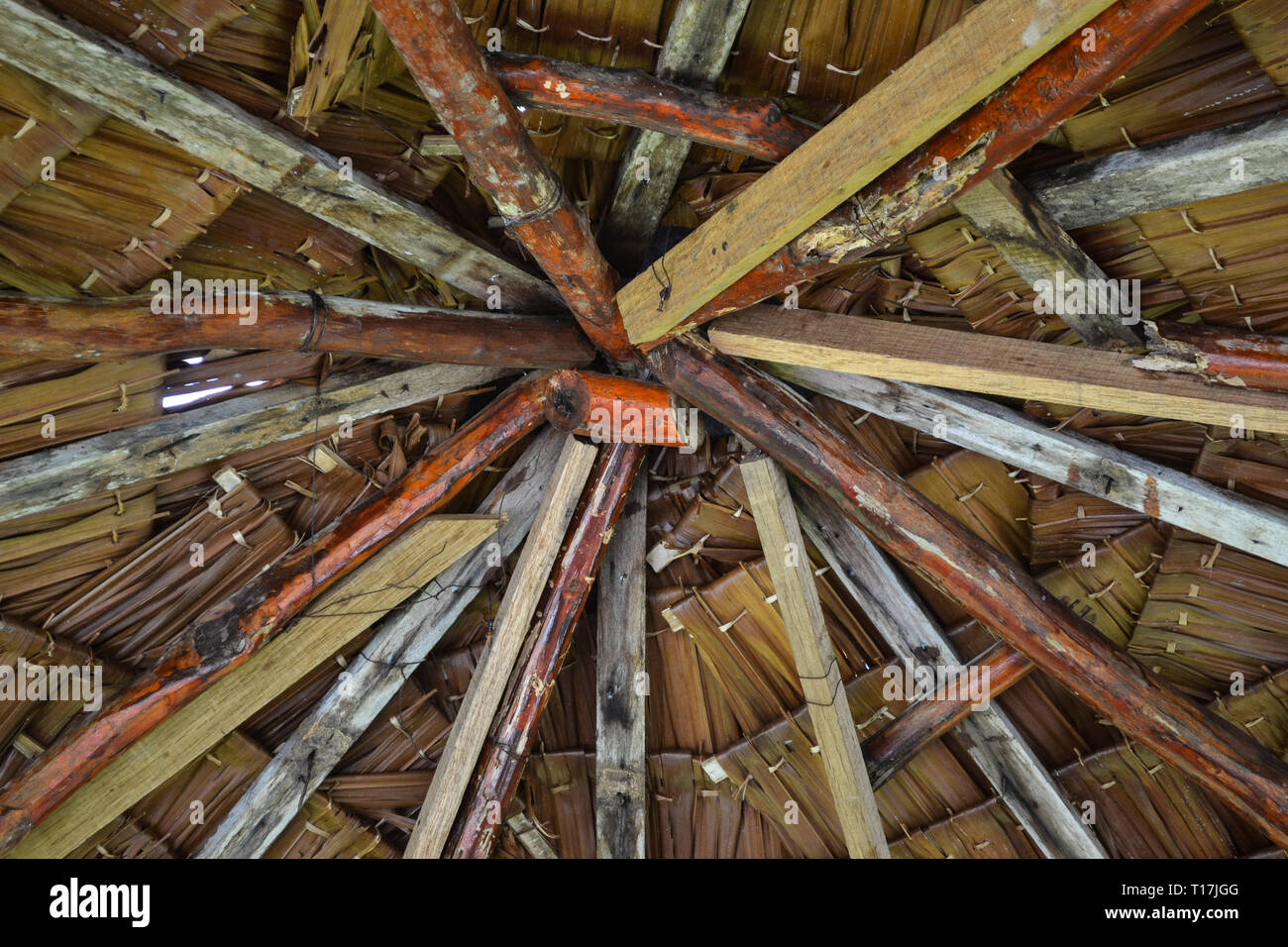 Strutturale del tetto con sago palm sul tetto. Foto Stock