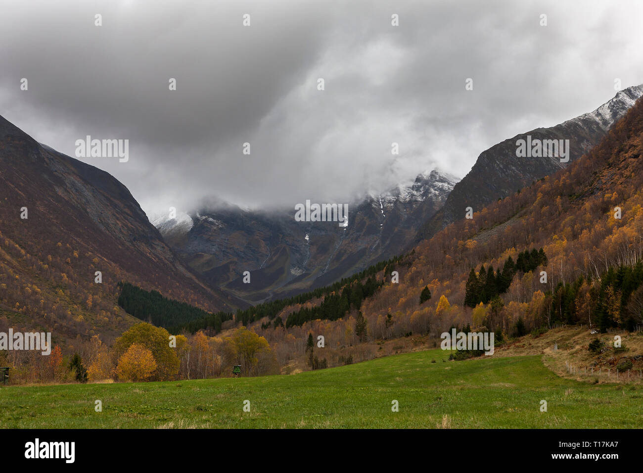 Nuvole temporalesche e Colore di autunno, Urkedalen, Mør og Romsdal, Norvegia Foto Stock