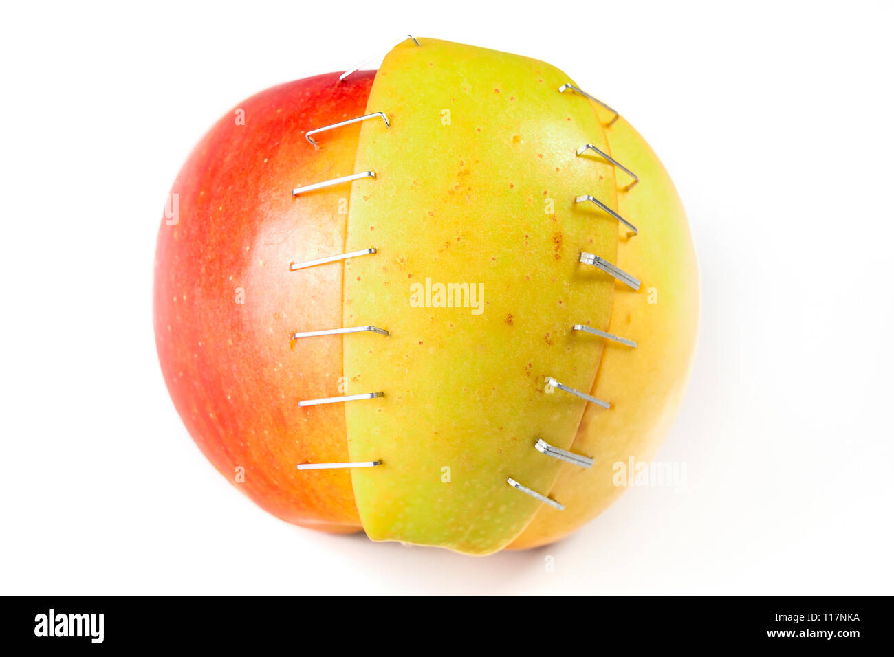 Concetto sui prodotti geneticamente modificati e allevamento Foto Stock