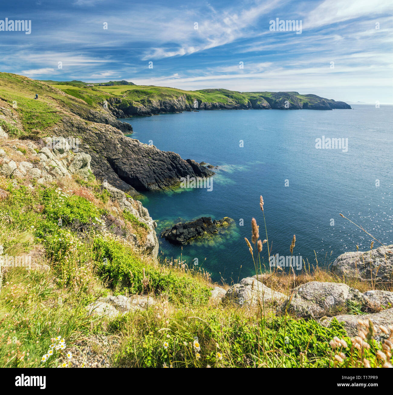 Sul lato meridionale della Carreg Onnen Bay, vicino Strumble Head Lighthouse in Pembrokeshire, Wales, Regno Unito Foto Stock