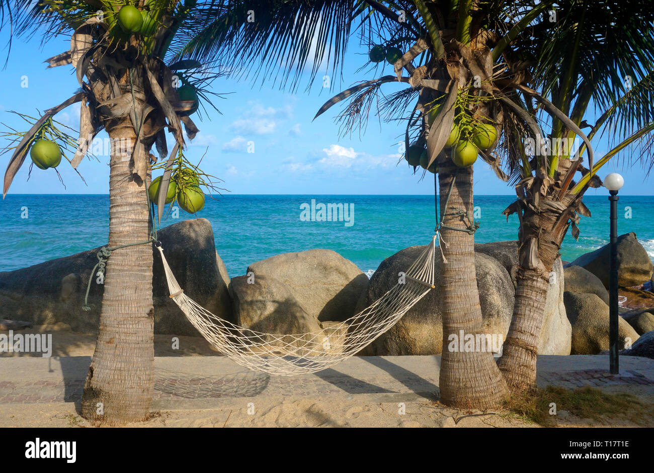 Amaca tra due palme di Lamai Beach, Koh Samui, Golfo di Thailandia, Tailandia Foto Stock