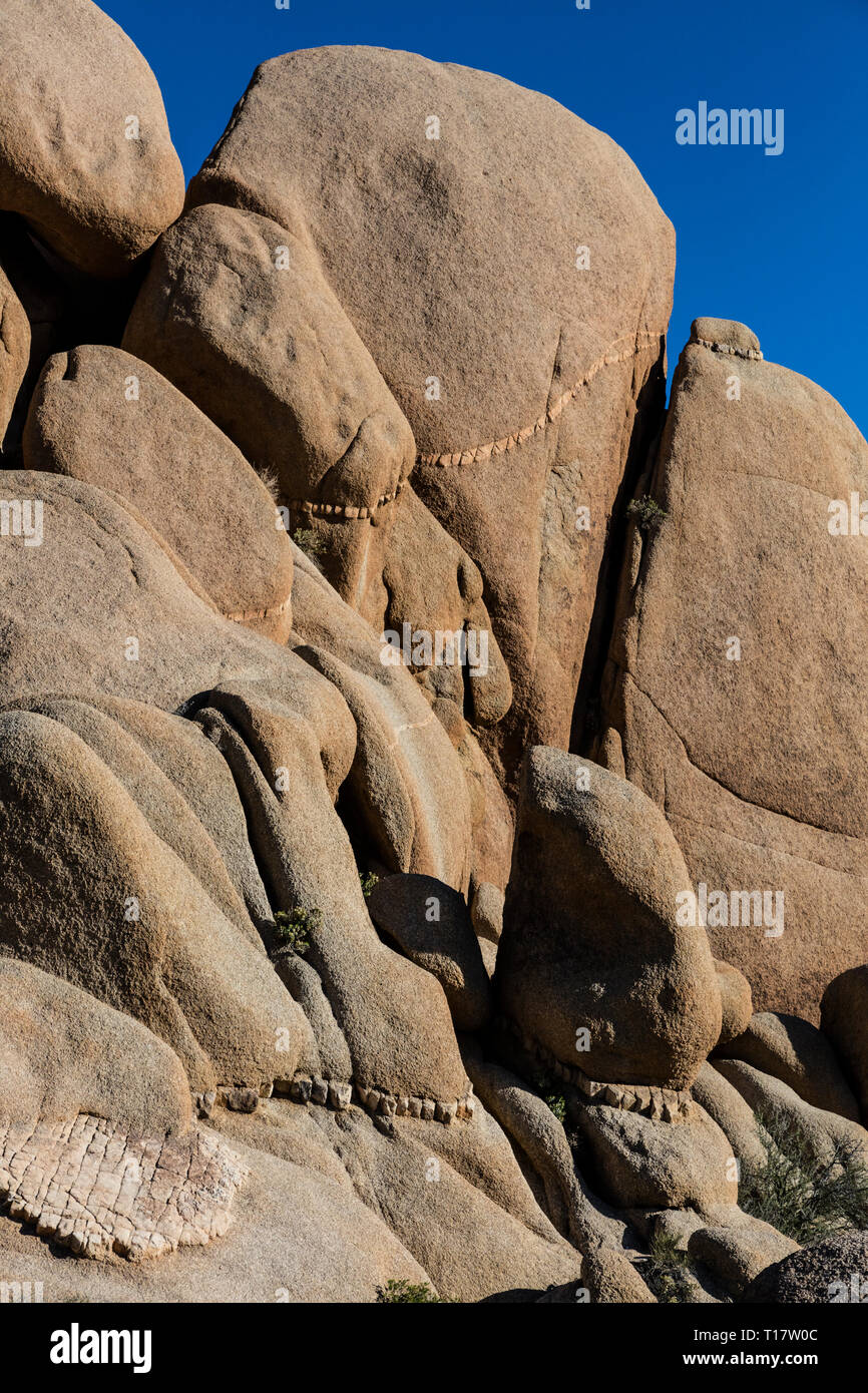 Il granito formazioni rocciose sono disponibili in molte forme incredibili - Joshua Tree National Park, California Foto Stock