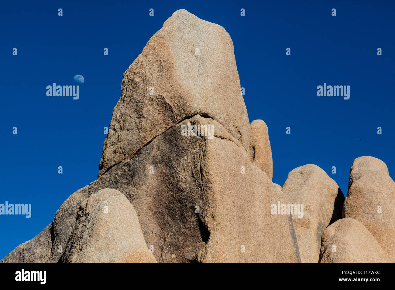 Il granito formazioni rocciose sono disponibili in molte forme incredibili - Joshua Tree National Park, California Foto Stock