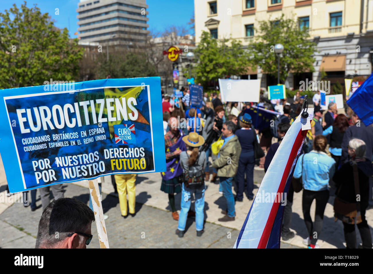 Madrid, Spagna. 23 Mar, 2019. Un partecipante visto con una targhetta disapprovando Brexit durante la dimostrazione.La Comunità britannica in Spagna hanno dimostrato a favore di un altro referendum sul Brexit a Plaza de ColÃ³n ''in difesa dei diritti dei cinque milioni di europei nel Regno Unito e British nell' Unione europea e per la richiesta di un secondo referendum sull'uscita della Gran Bretagna dal credito UE: Gesù Hellin/SOPA Immagini/ZUMA filo/Alamy Live News Foto Stock