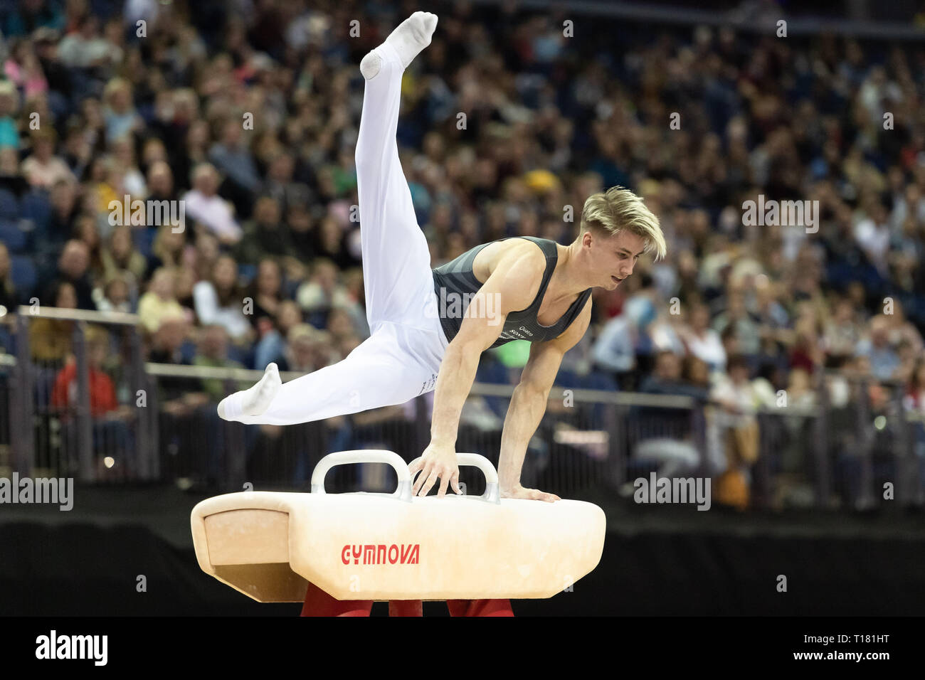 Londra, Regno Unito. 23 Mar, 2019. Jay Thompson sul cavallo durante la Matchroom Multisport presenta il 2019 Superstars di ginnastica all'Arena O2, sabato 23 marzo 2019. Londra Inghilterra. Credito: Taka Wu/Alamy Live News Foto Stock