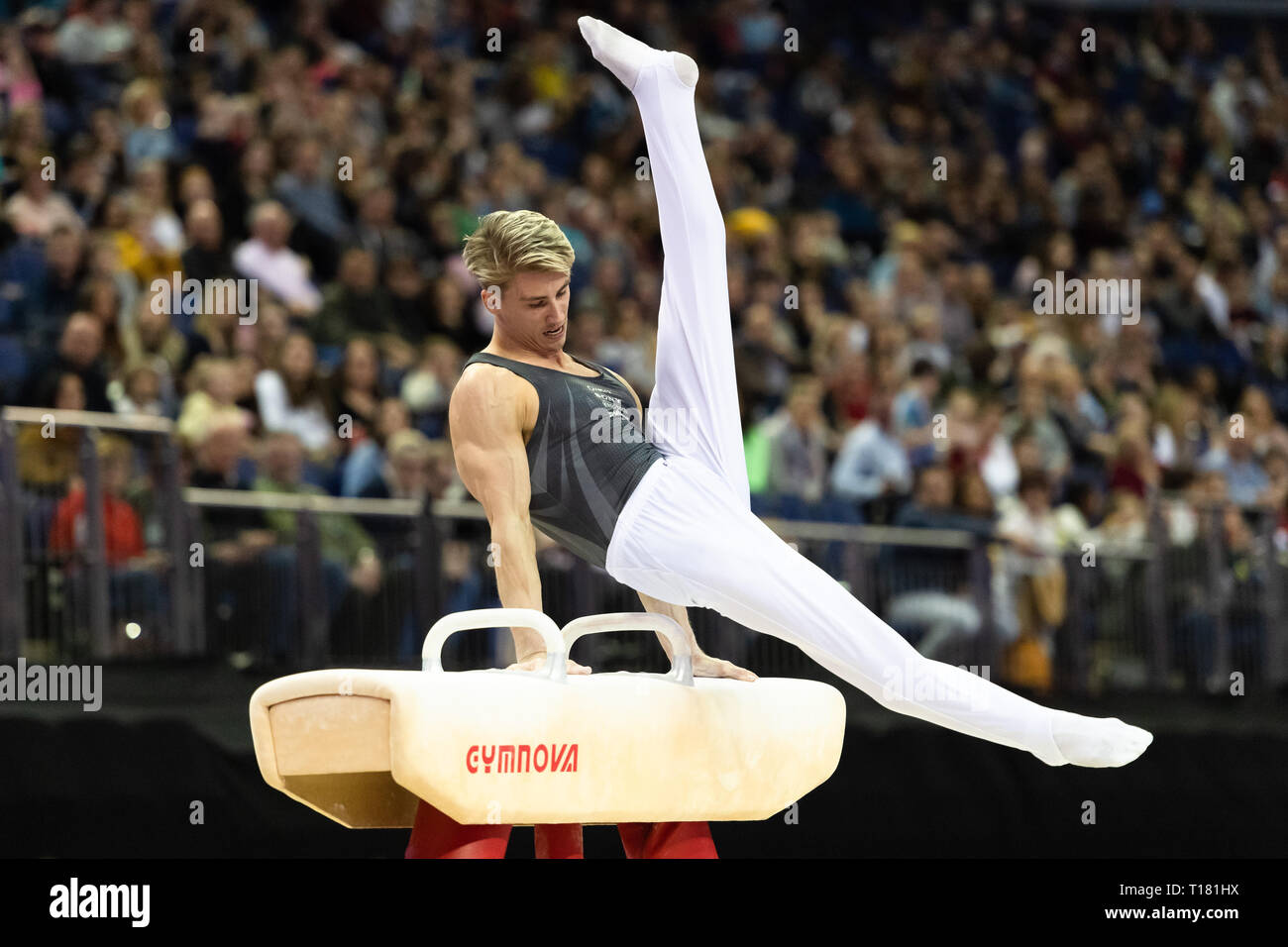 Londra, Regno Unito. 23 Mar, 2019. Jay Thompson sul cavallo durante la Matchroom Multisport presenta il 2019 Superstars di ginnastica all'Arena O2, sabato 23 marzo 2019. Londra Inghilterra. Credito: Taka Wu/Alamy Live News Foto Stock