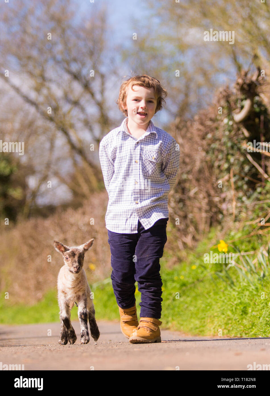 Arley, Worcestershire, Regno Unito. Il 24 marzo 2019. Cinque-anno-vecchio Henley Mills con Marta, un giorno di età di agnello, sulla sua famiglia's farm in Arley, vicino a Kidderminster, Worcestershire. Peter Lopeman/Alamy Live News Foto Stock