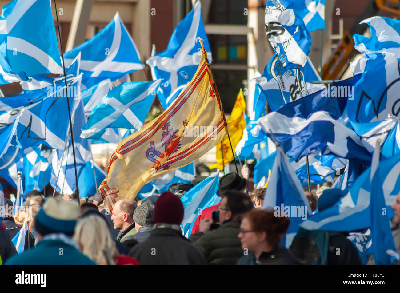 Glasgow, Scotland, Regno Unito. Il 24 marzo 2019. Gli attivisti a sostegno dell indipendenza scozzese si riuniscono per un rally a George Square.Il rally è stato organizzato dal gruppo di speranza sulla paura. Credito: Berretto Alamy/Live News Foto Stock