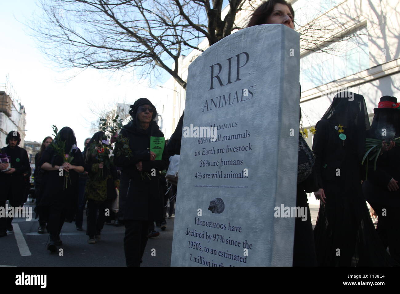 Brighton, Regno Unito, 24 marzo 2019. Una marcia silenziosa attraverso il centro di Brighton è detenuto dal gruppo di campagna la ribellione di estinzione. Seguito da un servizio funebre alla clocktower nel centro della città. Il gruppo sta protestando l'impatto dei cambiamenti climatici e la perdita di biodiversità. Credito: Roland Ravenhill/Alamy Live News Foto Stock