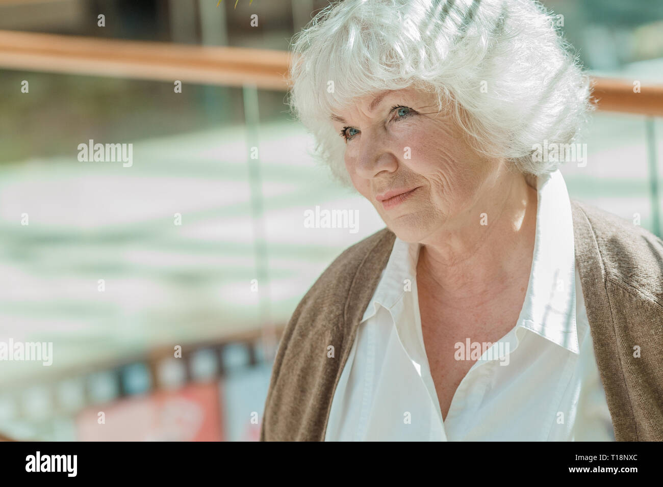 Ritratto di bella donna senior con i capelli bianchi Foto Stock
