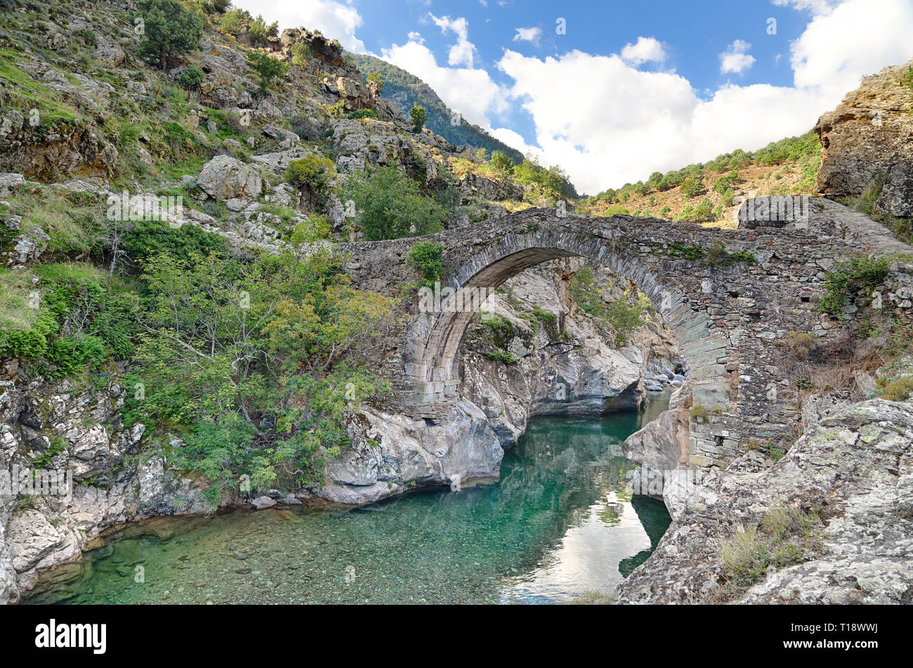 Il vecchio ponte genovese Vicino Asco (Corsica) Foto Stock