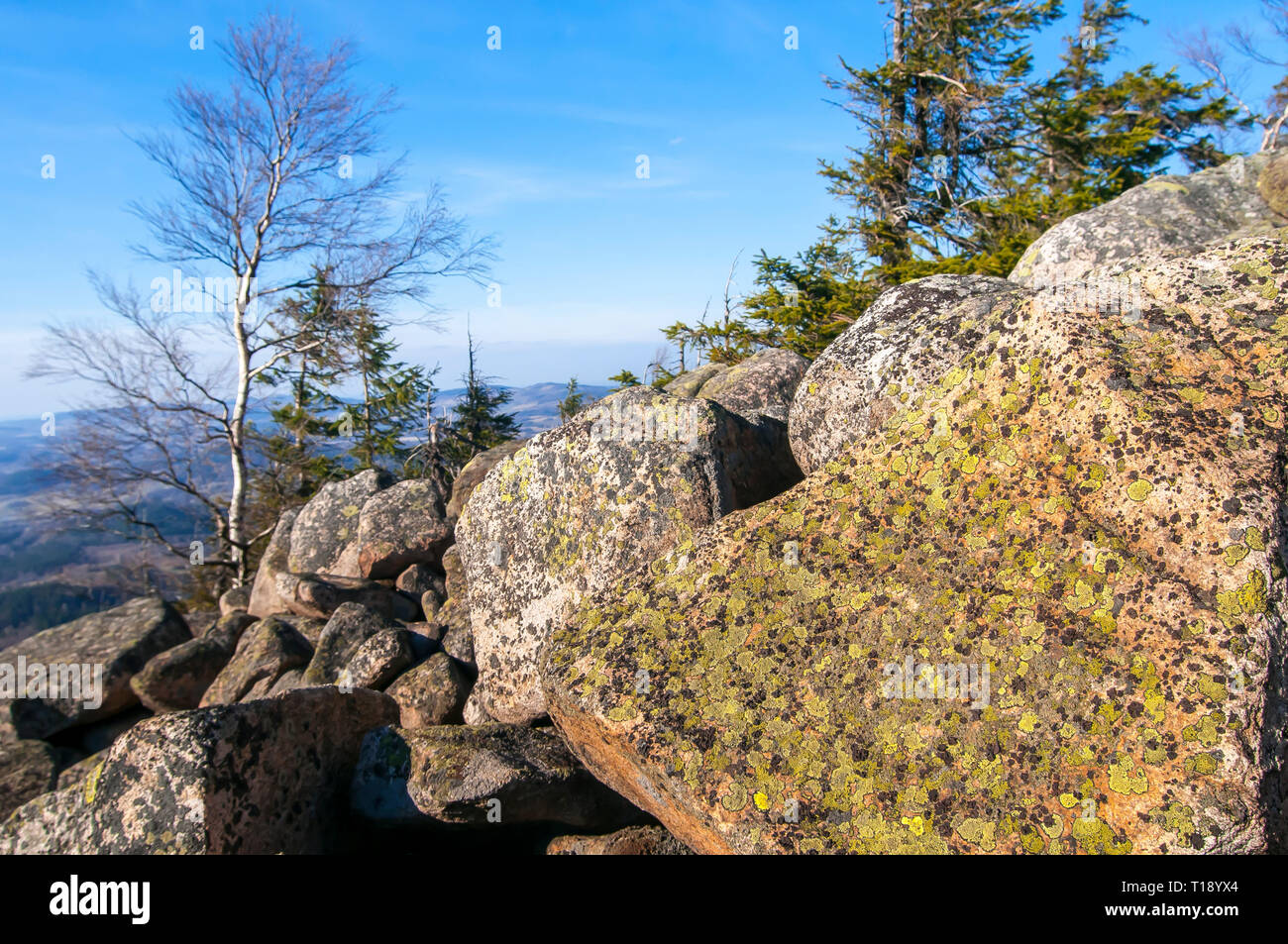 Rhizocarpon geographicum (mappa lichen) crescente sulla roccia Foto Stock