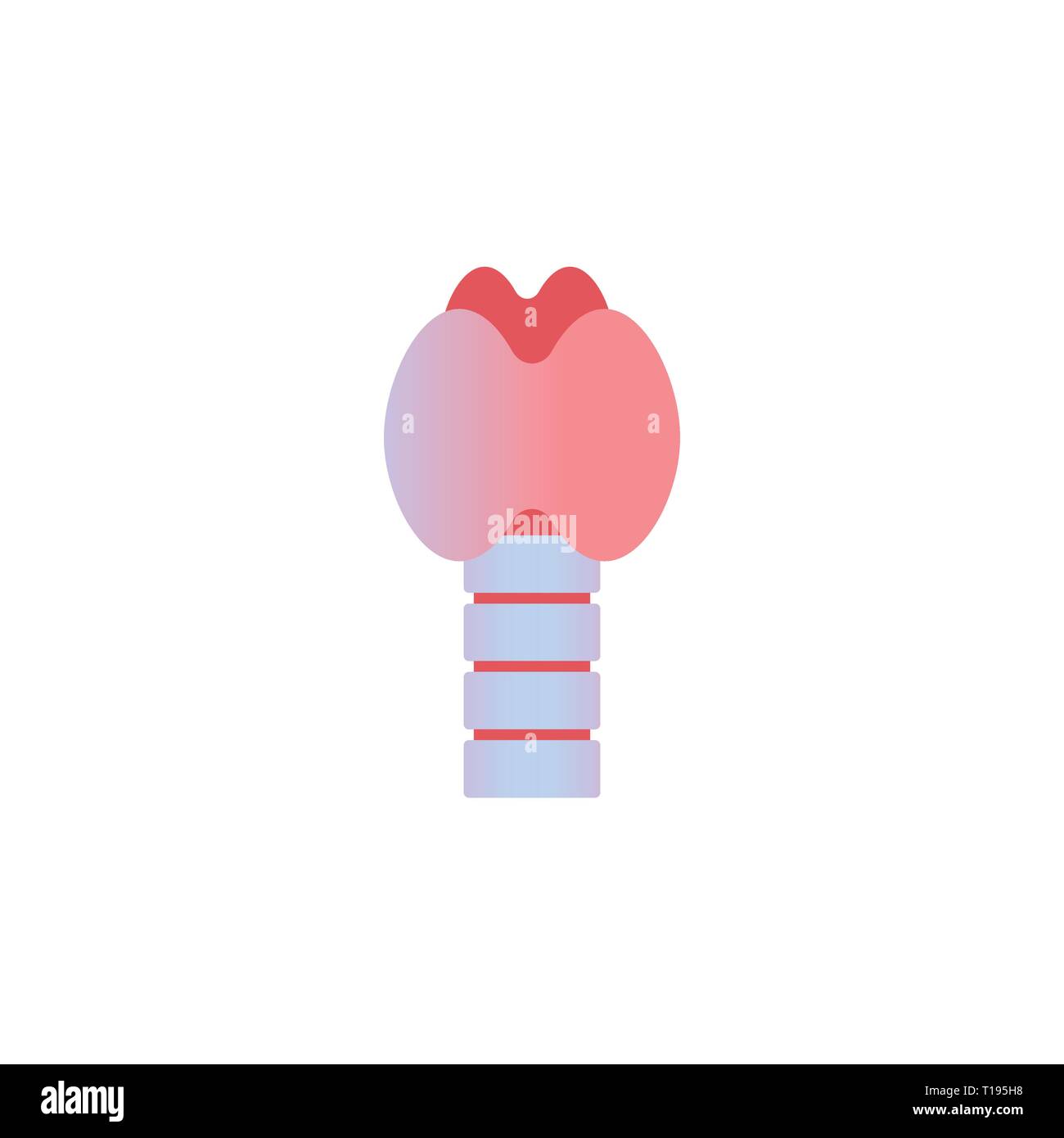 La ghiandola tiroidea con la trachea e la laringe endocrinologia sistema o la secrezione di ormone organo umano anatomia healthcare medical concetto sfondo bianco Illustrazione Vettoriale