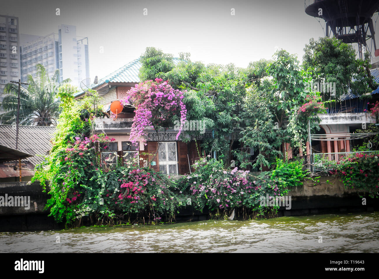 Questa unica foto mostra come la vecchia Bangkok somiglia e il modo in cui le persone vivono in circostanze semplici sulla Mae Nam Chao Phraya Foto Stock